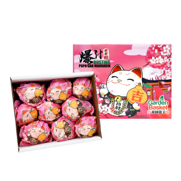 Papa Gan Mandarin Gift Box (2kg)